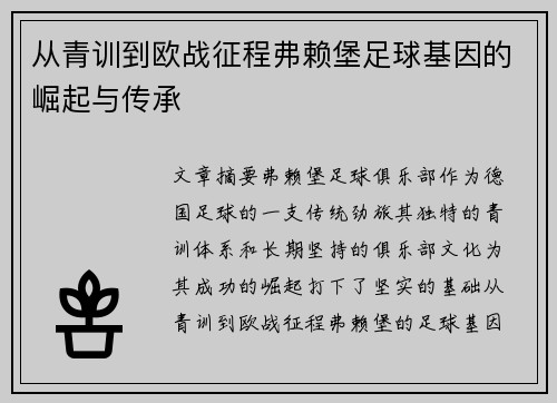 从青训到欧战征程弗赖堡足球基因的崛起与传承